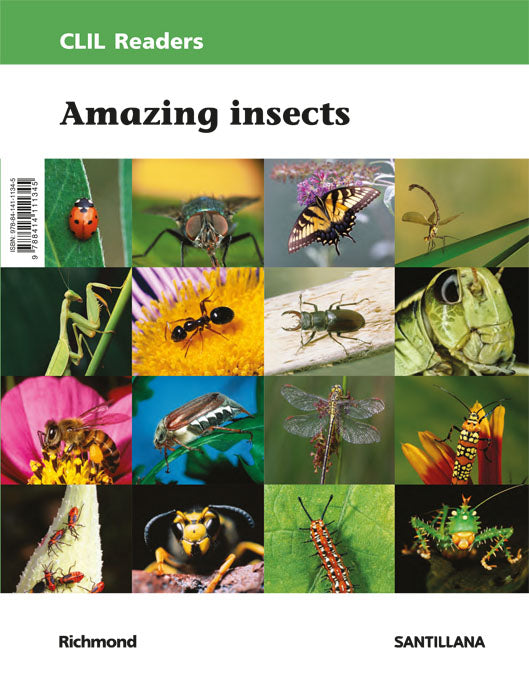 CLIL READERS NIV II AMAZING INSECTS ED18