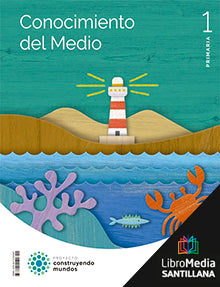1PRI LM PFA CONO MEDIO CM CANARIAS ED22