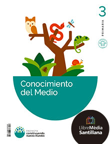 3PRI LMA CONOCIMIENTO MEDIO VOR CAS ED26